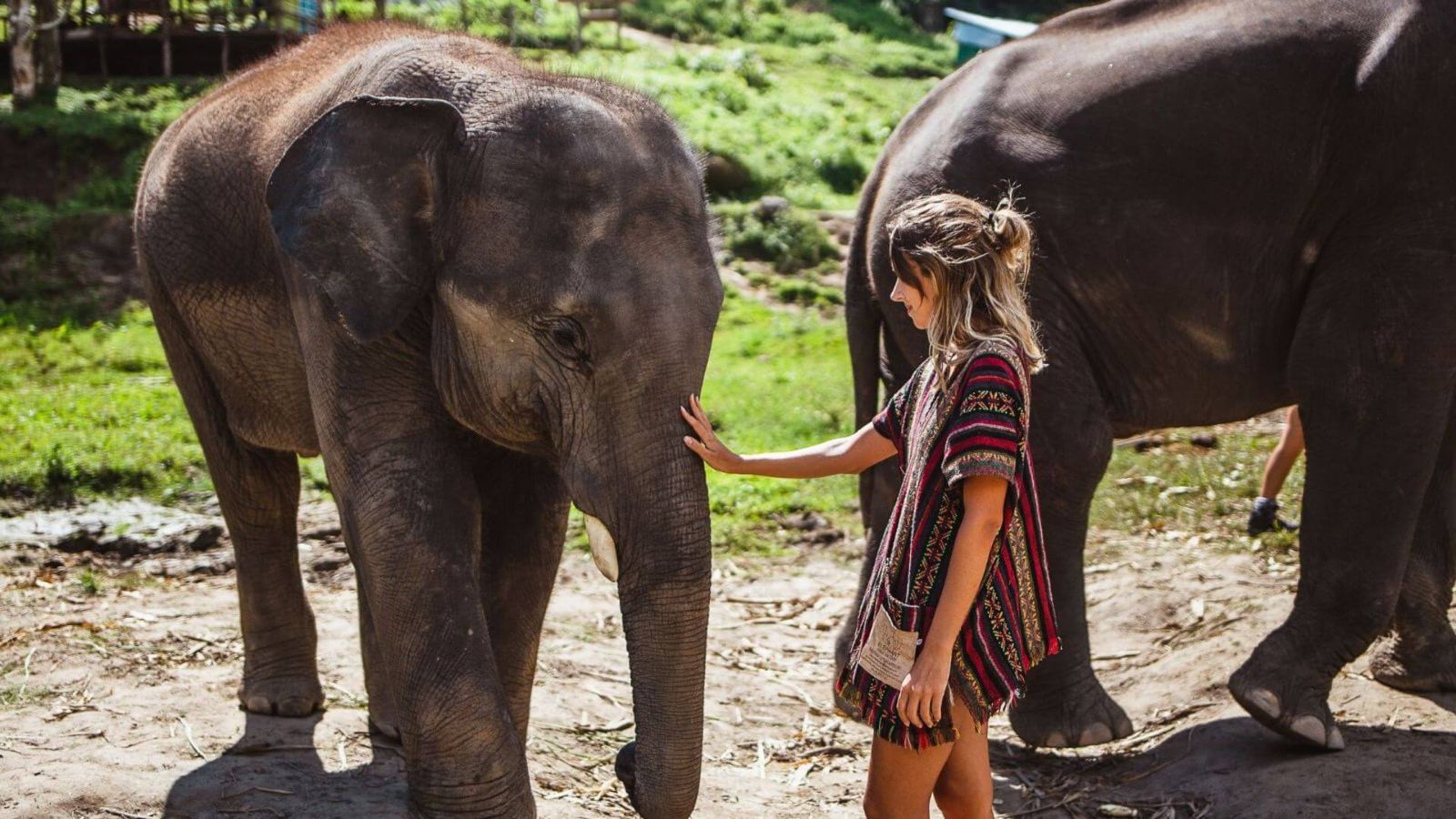 Dia 06 - Chiang Mai